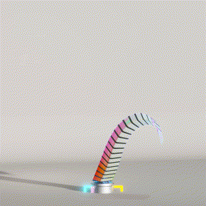 wacky_dude_tubes: 9422