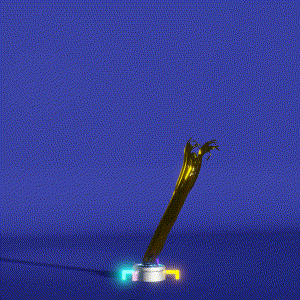 wacky_dude_tubes: 7622