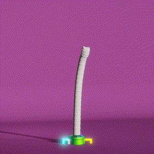 wacky_dude_tubes: 9889