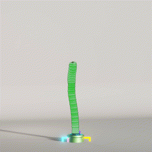 wacky_dude_tubes: 6043