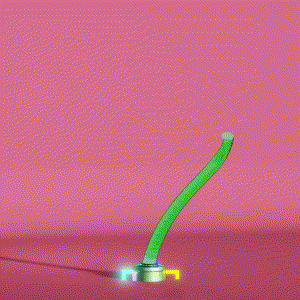 wacky_dude_tubes: 90