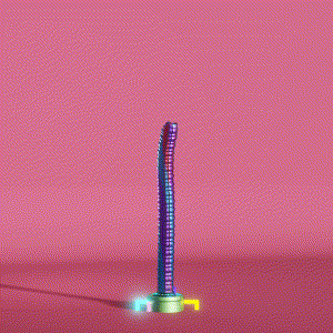 wacky_dude_tubes: 9503