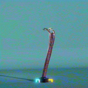 wacky_dude_tubes: 5555