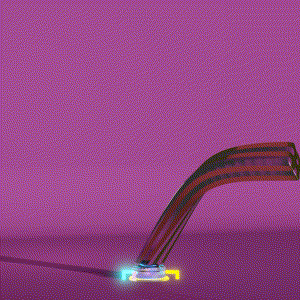 wacky_dude_tubes: 5706