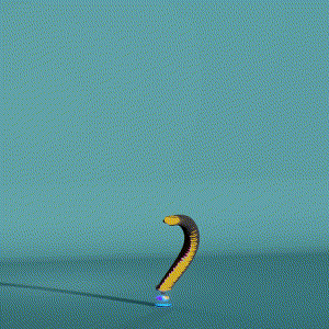 wacky_dude_tubes: 9067