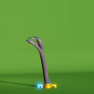 wacky_dude_tubes: 7618