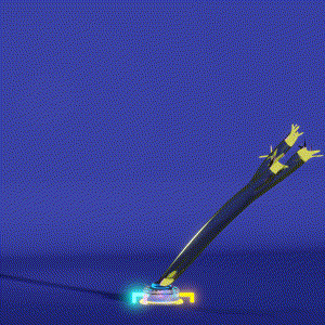wacky_dude_tubes: 7256