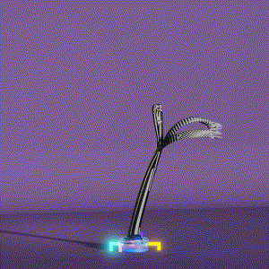 wacky_dude_tubes: 5169