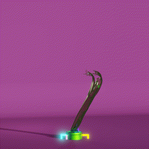 wacky_dude_tubes: 3175