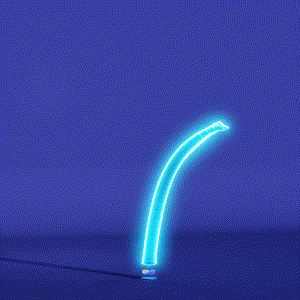 wacky_dude_tubes: 411