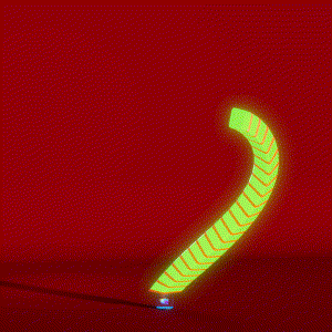 wacky_dude_tubes: 1416