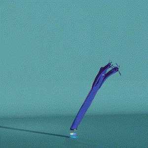 wacky_dude_tubes: 3994