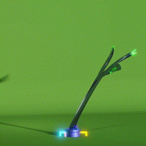 wacky_dude_tubes: 3010