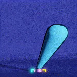 wacky_dude_tubes: 6708