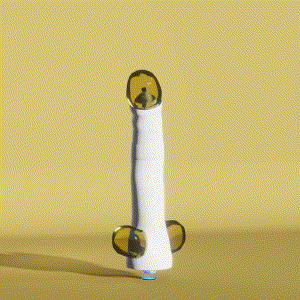 wacky_dude_tubes: 204
