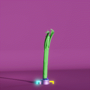 wacky_dude_tubes: 350