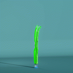 wacky_dude_tubes: 2709
