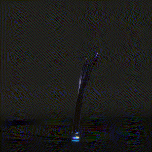 wacky_dude_tubes: 7914