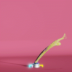 wacky_dude_tubes: 7508