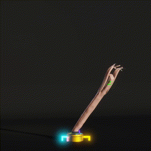 wacky_dude_tubes: 2351
