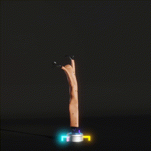 wacky_dude_tubes: 6416