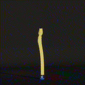 wacky_dude_tubes: 6298