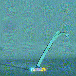 wacky_dude_tubes: 9479