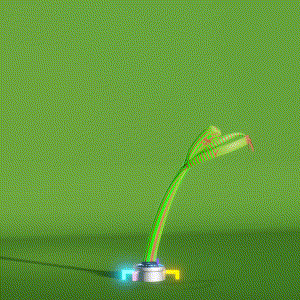 wacky_dude_tubes: 2656