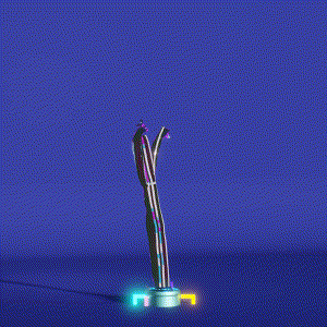 wacky_dude_tubes: 9917