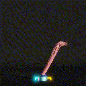wacky_dude_tubes: 2019