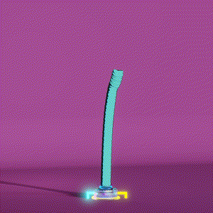 wacky_dude_tubes: 6023