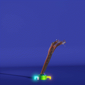 wacky_dude_tubes: 1586