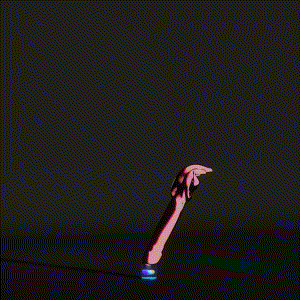 wacky_dude_tubes: 7784