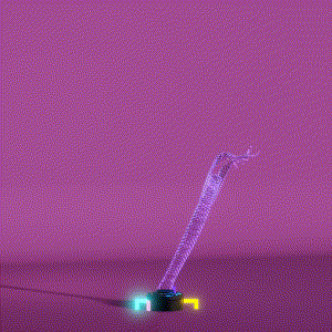 wacky_dude_tubes: 6597
