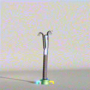 wacky_dude_tubes: 4323