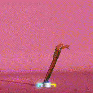 wacky_dude_tubes: 7845