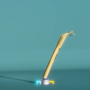 wacky_dude_tubes: 2404