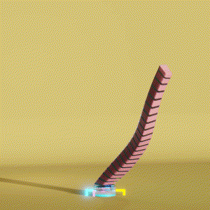 wacky_dude_tubes: 9138