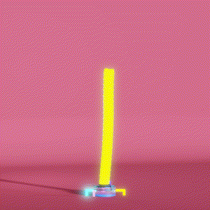 wacky_dude_tubes: 8267