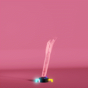 wacky_dude_tubes: 5834