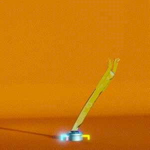 wacky_dude_tubes: 3850