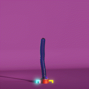 wacky_dude_tubes: 5984