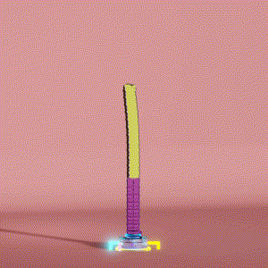 wacky_dude_tubes: 6966
