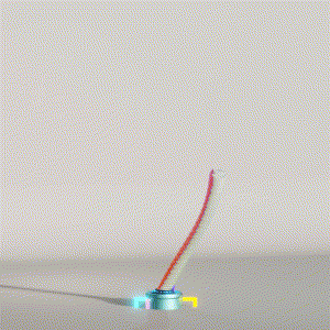 wacky_dude_tubes: 2284