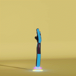 wacky_dude_tubes: 9631