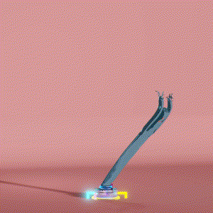 wacky_dude_tubes: 6217