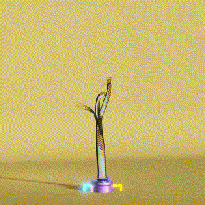 wacky_dude_tubes: 4219
