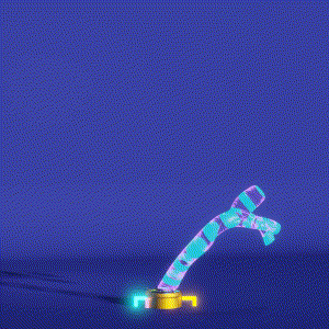 wacky_dude_tubes: 5220