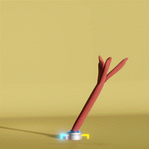 wacky_dude_tubes: 9006