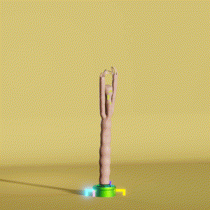 wacky_dude_tubes: 6962